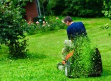 Kwikfynd Lawn Mowing
benolong